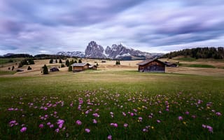 Картинка италия, горы, доломити, поле