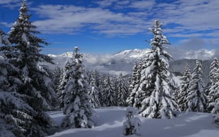 Картинка зима, сугробы, горы, деревья, пейзаж