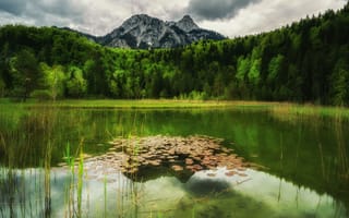 Картинка озеро, горы, деревья, природа