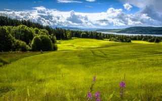 Картинка Норвегия, долина, Рингсакер