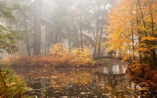 Картинка осень, мост, пруд, осенние краски, туман, лес, деревья, природа, пейзаж, парк