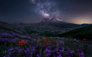Картинка Гора Сент-Хеленс, пейзаж, США, цветы, свечение, ночь, холмы, сумерки