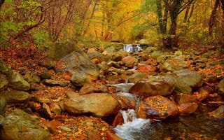 Картинка осенний водопад, деревья, осенняя листва, природа, краски осени, пейзаж, осенние листья, камни, осень, осенние краски