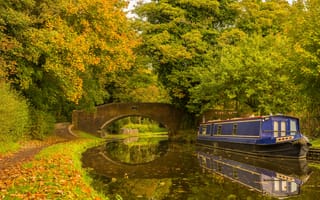 Картинка Стаффордширский и вустерширский канал в Кинвере, осень, пейзаж, Стаффордшир, мост, деревья, парк, Кинвер, Великобритания, Англия