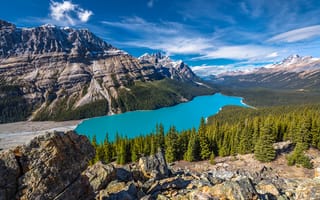 Обои Peyto Lake, озеро, Озеро Пейто, скалы, Canada, деревья, Национальный Парк Банф, пейзаж, Banff National Park, горы, лес, Alberta