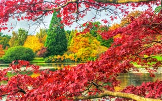 Картинка Шеффилд Парк, водоём, парк, осень, Великобритания, пруд, Англия, Sheffield Park