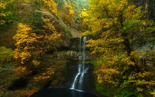 Картинка осень, поток, лес, краски осени, природа, водопад, деревья, пейзаж