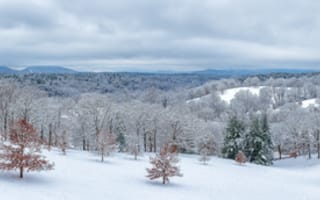 Картинка Эшвилл, пейзаж, холмы, природа, зима, горы, снег, сугробы, Северная Каролина, деревья, панорама