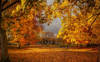 Картинка осень, осенние листья, парк, дома, деревья, осенние краски, пейзаж, лавочка