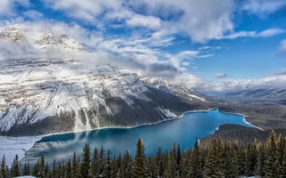 Картинка Peyto Lake, Canada, Alberta, деревья, Национальный Парк Банф, лес, Озеро Пейто, Banff National Park, пейзаж, горы, озеро, скалы