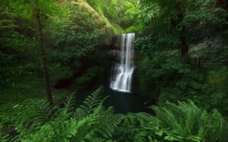 Картинка Silver falls state park, лес, природа, пейзаж, водопад, лесной водопад, деревья