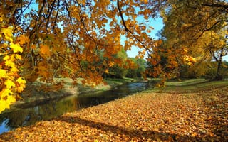 Картинка осень, осенние краски, природа, пейзаж, река, деревья осенние листья, краски осени