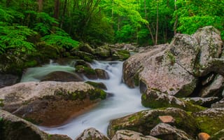 Картинка North Carolina, деревья, река, лес, Great Smoky Mountains National Park, камни, пейзаж, природа, водопад