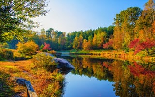 Картинка Fall at DeHart Botanical Gardens, природа, река, парк, пейзаж, NC, мост, Franklin County, осень, деревья, осенние краски