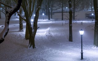 Картинка Центральный парк, деревья, зима, фонари, Америка, иллюминация, снег, Нью-Йорк, ночь