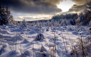 Картинка зима, лес, пейзаж, снег, природа, деревья, Bernd, Obervossbeck, сугробы