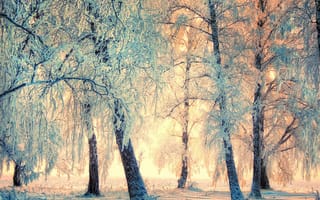 Картинка зима, пейзаж, деревья, снег, природа, солнечные лучи