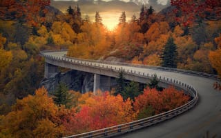 Картинка осень, автострада, деревья, дорога, пейзаж, лес, шоссе, закат