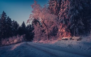 Картинка зима, закат, дорога, Оденвальд, лавочка, пейзаж, лес, деревья, снег, Германия