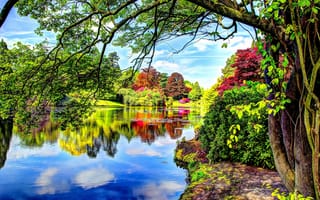 Картинка Пейзаж, водоём, Англия, природа, пруд, озеро, деревья, Парк Шеффилда, пейзаж, яркий