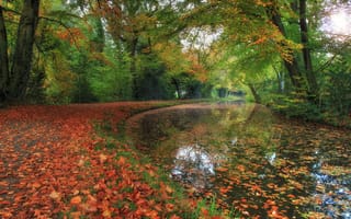 Картинка осень, парк, пейзаж, природа, тропинка, деревья, канал, лес, краски осени