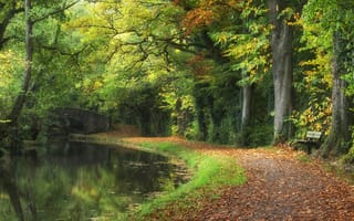 Картинка осень, канал, парк, мост, лавочка, лес, природа, деревья, тропинка, пейзаж, краски осени