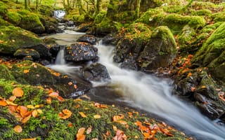 Картинка осень, водопад, речка, поток, ручей, мох, природа, камни, осенние листья, пейзаж