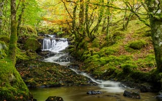 Картинка осень, пейзаж, лес, речка, краски осени, осенние листья, ручей, деревья, природа, водопад