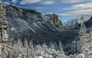 Картинка Yosemite National Park, Национальный парк Йосемити, пейзаж, California, деревья, зима, Калифорния, горы
