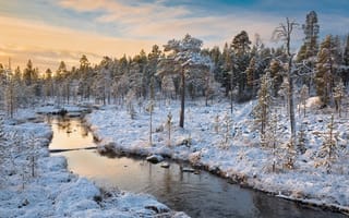 Картинка Finland, Lapland, снег, Финляндия, закат, Лапландия, деревья, пейзаж, река, зима