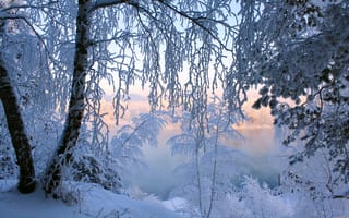 Картинка зима, деревья, пейзаж, природа, закат, озеро, иней, снег