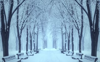 Картинка зима, пейзаж, лавочки, снег, парк, дорога деревья