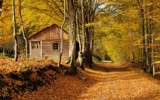 Картинка краски осени, деревья, природа осенние листья, природа, осень, пейзаж, домик, лес, осенние краски, дорога