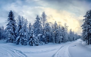 Картинка Финляндия, пейзаж, зима, природа, небо, панорама, развилка, закат, дорога, деревья, лес, снег