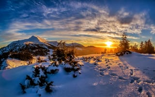 Картинка Украина, снег, Горы, пейзаж, закат, Карпаты, деревья, зима