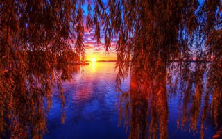 Картинка озеро, пейзаж, закат, небо, Онтарио, ветки деревьев, Торонто, природа, листья