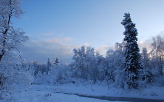 Картинка Аляска, пейзаж, деревья, зима, природа, река, снег, сугробы