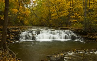 Картинка осень, водоём, камни, скалы, лес, водопад, поток, вода, деревья, пейзаж, природа