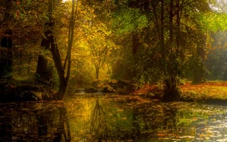 Картинка осень, лес, пейзаж, деревья, водоём, природа