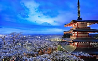 Обои Япония, пейзаж, Яманаси, сакура, Гора Фудзи