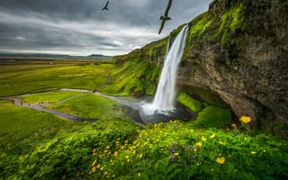 Картинка Seljalandsfoss, Исландия, Водопад Сельяландсфосс