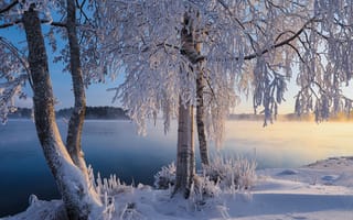 Картинка Lake Saimaa, Савонлинна, Finland, Озеро Сайма, Savonlinna, пейзаж, Финляндия, деревья, закат, зима