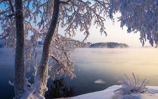 Картинка Lake Saimaa, Savonlinna, Озеро Сайма, Finland, Финляндия, деревья, зима, закат, пейзаж, Савонлинна