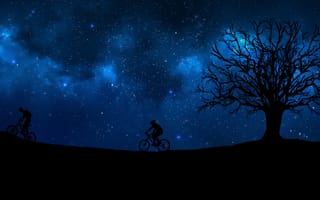 Обои cyclist, велосипедист, силуэт, starry sky, silhouette, звездное небо