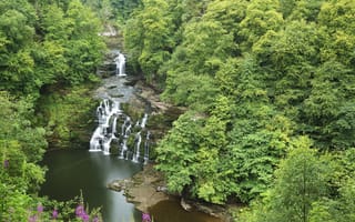 Картинка Corra-Linn Waterfall, деревья, речка, водоём, водопад, лес, Scotland, пейзаж