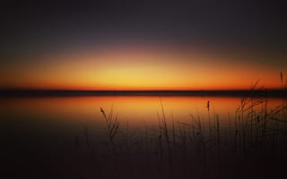 Картинка закат, grass, трава, горизонт, lake, skyline, sunset, озеро