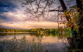 Картинка закат, осень, Йоркшир, берег, деревья, Мёлензее, озеро, пейзаж, Канада