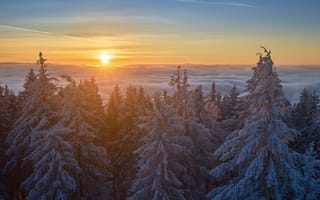 Картинка Kinzig Valley, облака, деревья, пейзаж, Германия, Долина, зима, закат, Шварцвальд, горы