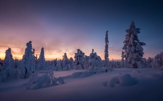 Картинка Финляндия, сугробы, лес, зима, снег, пейзаж, закат, деревья