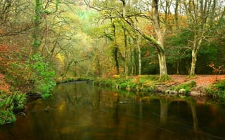 Картинка осень, река, пейзаж, лес, деревья